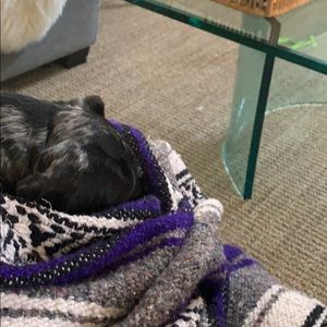 Meet your Posher, Heidi